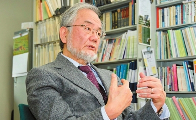 ���������Y����Ƭ���W(w��ng)�j(lu��)�DƬ