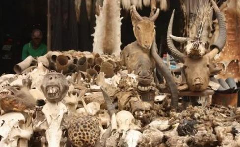 ȫ����׃�B(t��i)��10���ط�����^������ȥ��